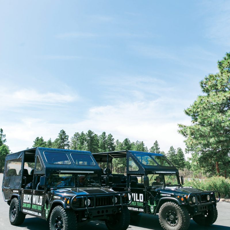 A shot of the hummers from a distance