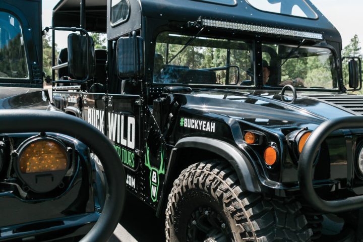 A close up of the hummers