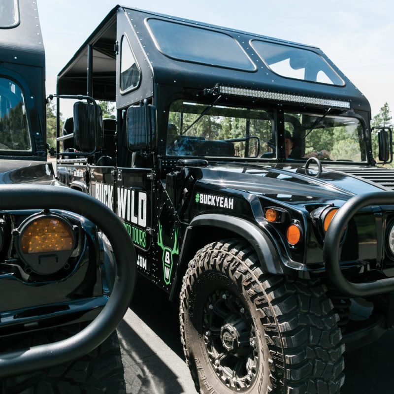 A close up of the hummers