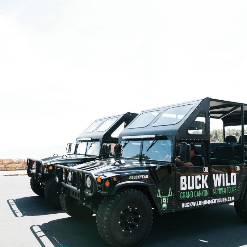 A front view of the custom Buck Wild hummers