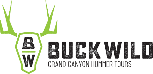 Buck Wild Hummer Tours