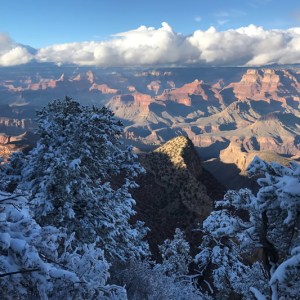 Winter Wonderland Grand Canyon