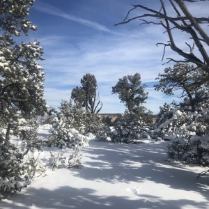 snow-grand-canyon-buck-wild-hummer-tours