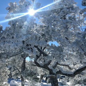winter-wonderland-in-grand-canyon-buck-wild-hummer-tours