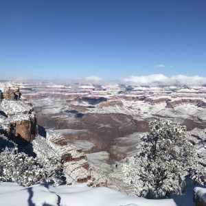 winter-wonderland-in-grand-canyon-buck-wild-hummer-tours