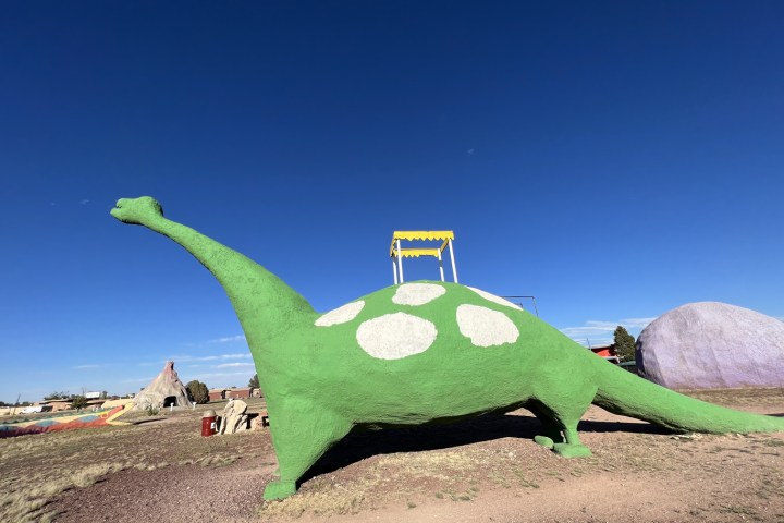 a close up of a green field