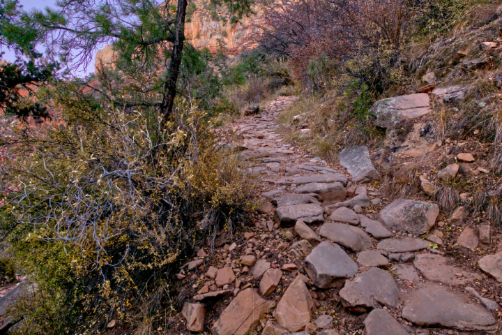 a close up of a rock