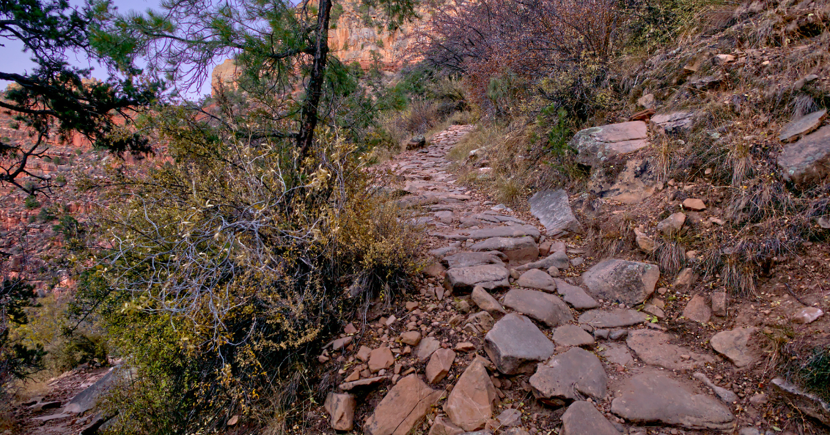 a close up of a rock