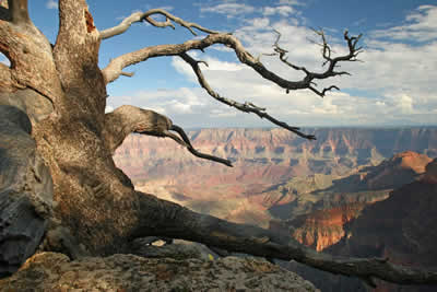View from the top of the North Rim of the Grand Canyon