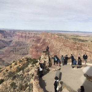 Buck Wild Grand Canyon Viewpoint