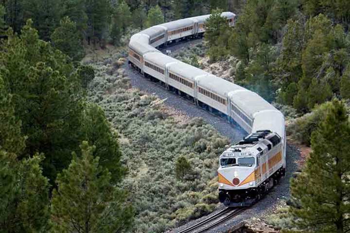 Scenic view of a train winding through a forest with lush green trees.