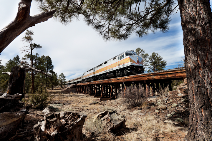 Grand Canyon Railway with Buck Wild Hummer Tour