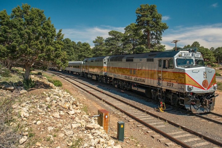 Passenger train traveling through a forested area under a clear blue sky.